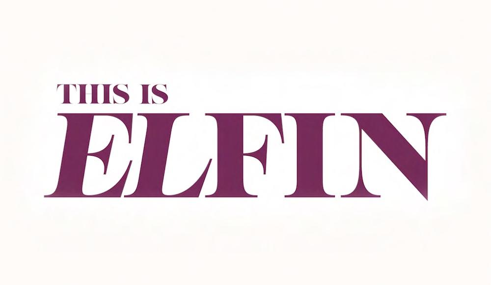 This is ELFIN