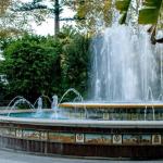 Golden shower or watersports with an escort