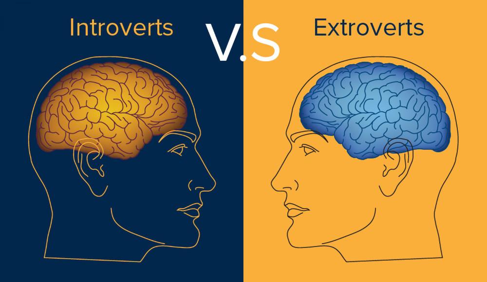 Activities for introverts and extroverts
