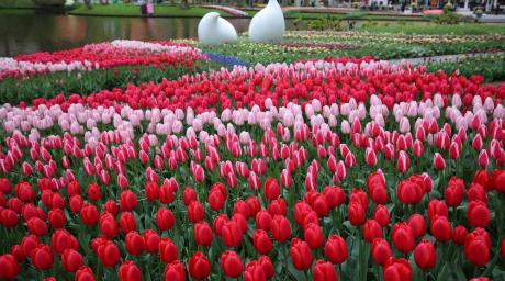 Romantische plekjes in Nederland