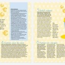 Viva Magazine 2017 / article image 3