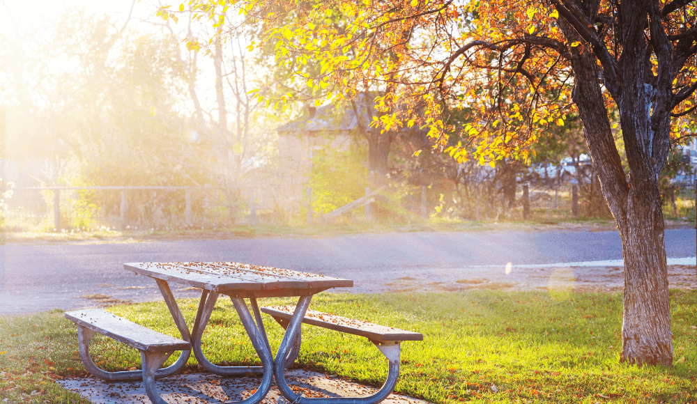 The nicest parks for a picnic in Boxtel