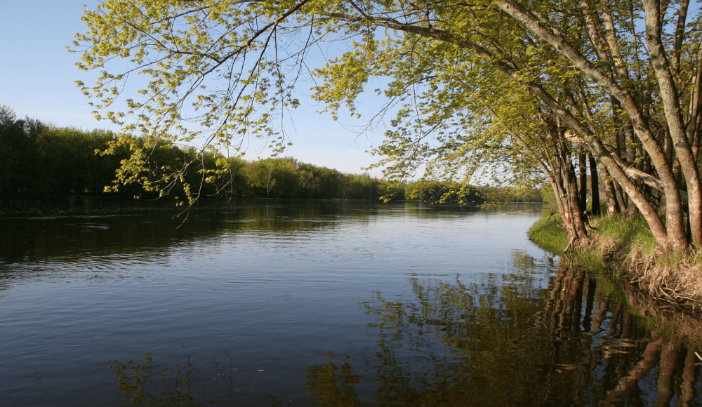 The most beautiful waters of Boxtel