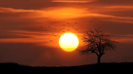 Related - De mooiste plekken om naar de zonsondergang te kijken in Boxtel
