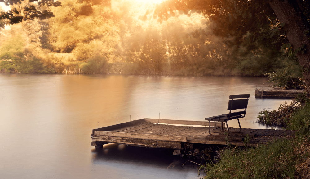 The most romantic benches in Emmen