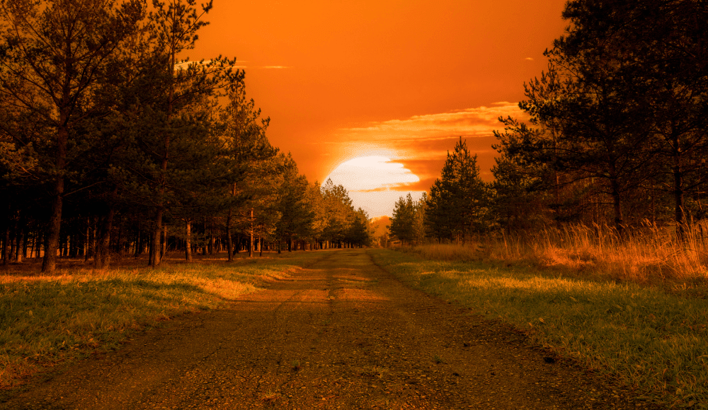 De mooiste plekken om naar de zonsondergang te kijken in Emmen