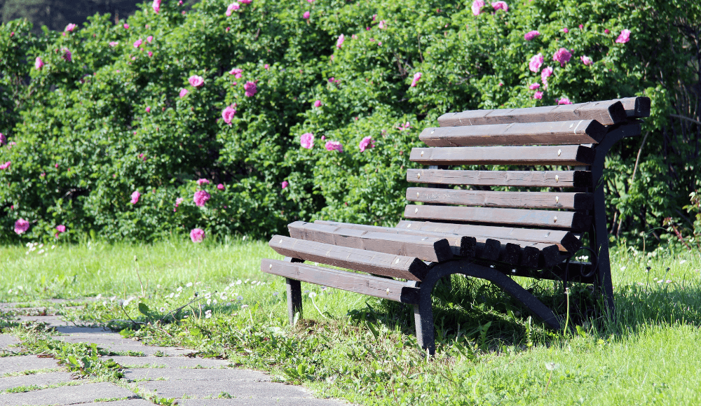 The most romantic benches in Heerhugowaard