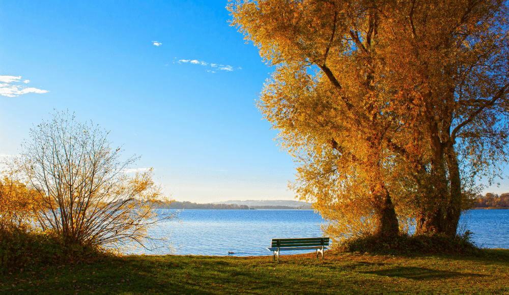 The most romantic benches in Sneek