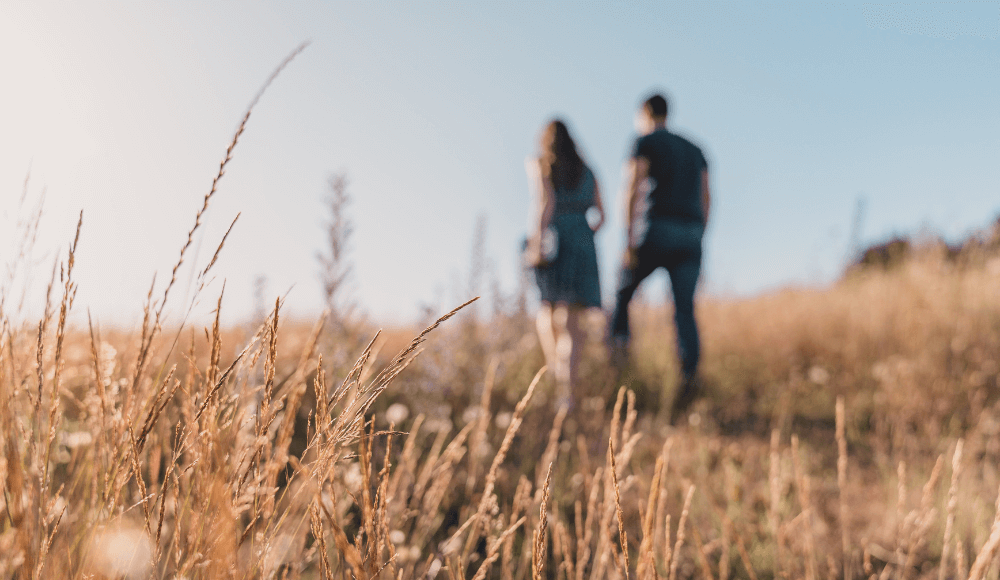 De meest romantische wandelroutes van Sneek