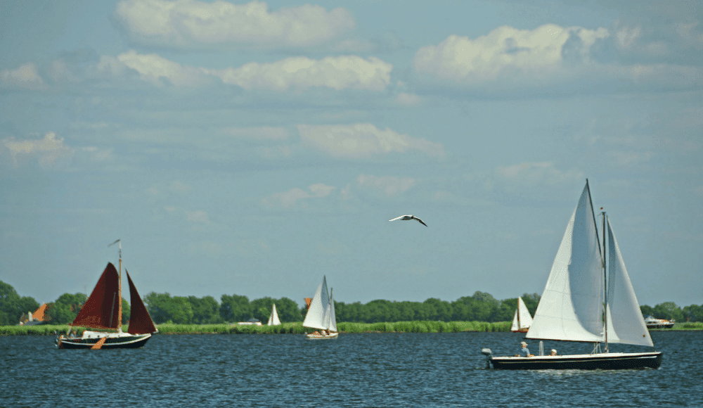 De mooiste wateren van Sneek