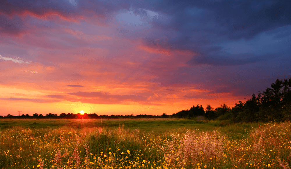 De mooiste plekken om naar de zonsondergang te kijken in Sneek