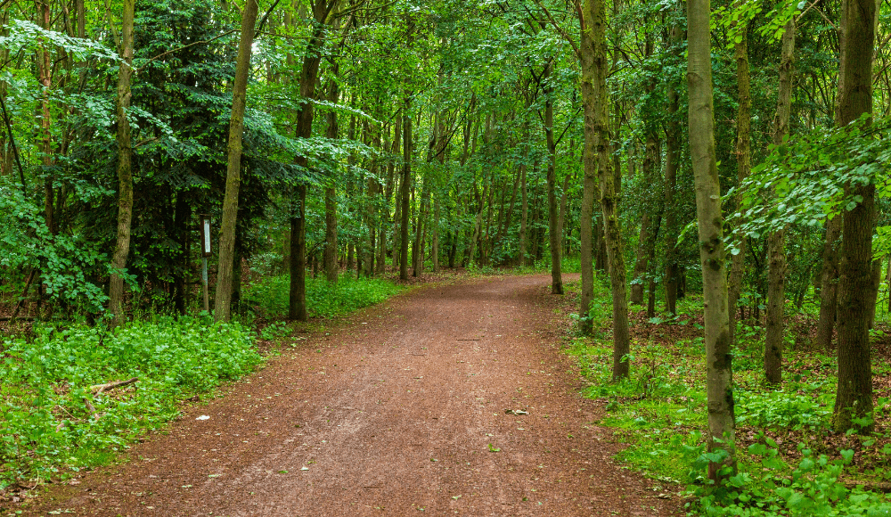 The most romantic walking routes in Almere