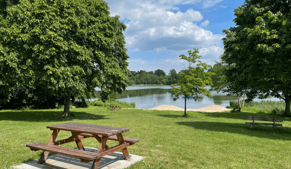 The nicest parks for a picnic in Assen