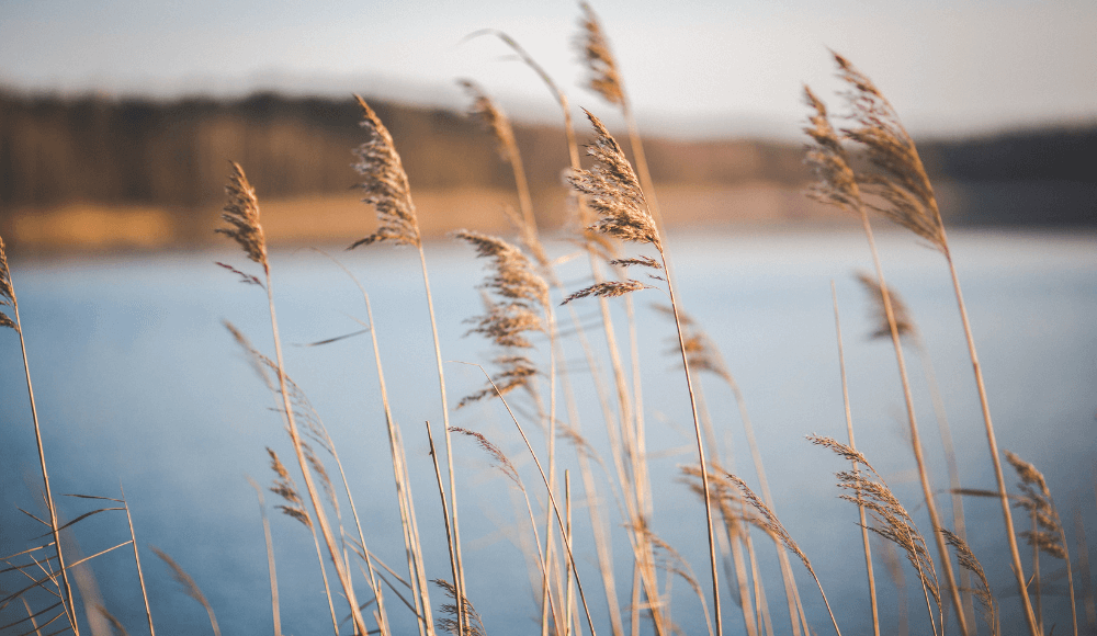 The most beautiful waters of Assen