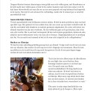 Folia / article image 5