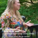 Telegraaf | NCRV | NRC / article image 3